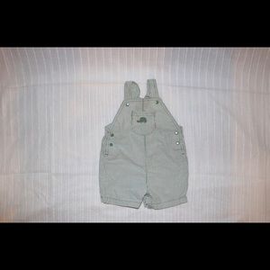 Green striped turtle shorts overalls.